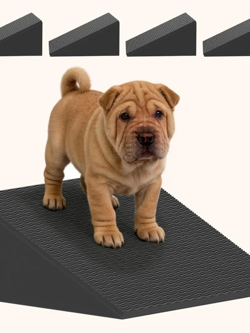 Dog Wedge Ramp for Stairs/Staircases, Portable & Lightweight 2Packs